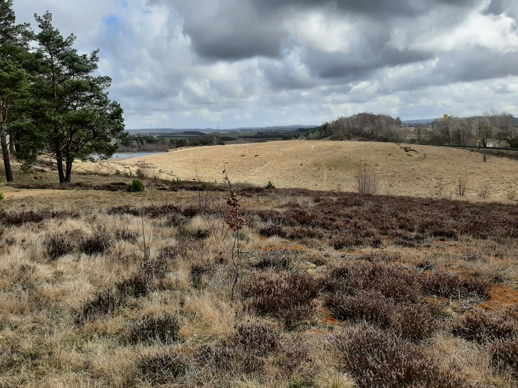 Natur och kultur vid Vessinge&nbsp;sandhedar
