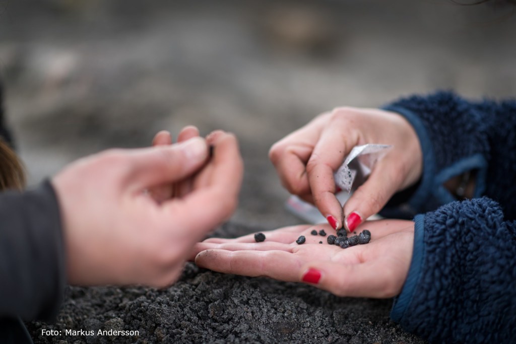 Arkeologidagen 2021: Medeltid i&nbsp;Halland