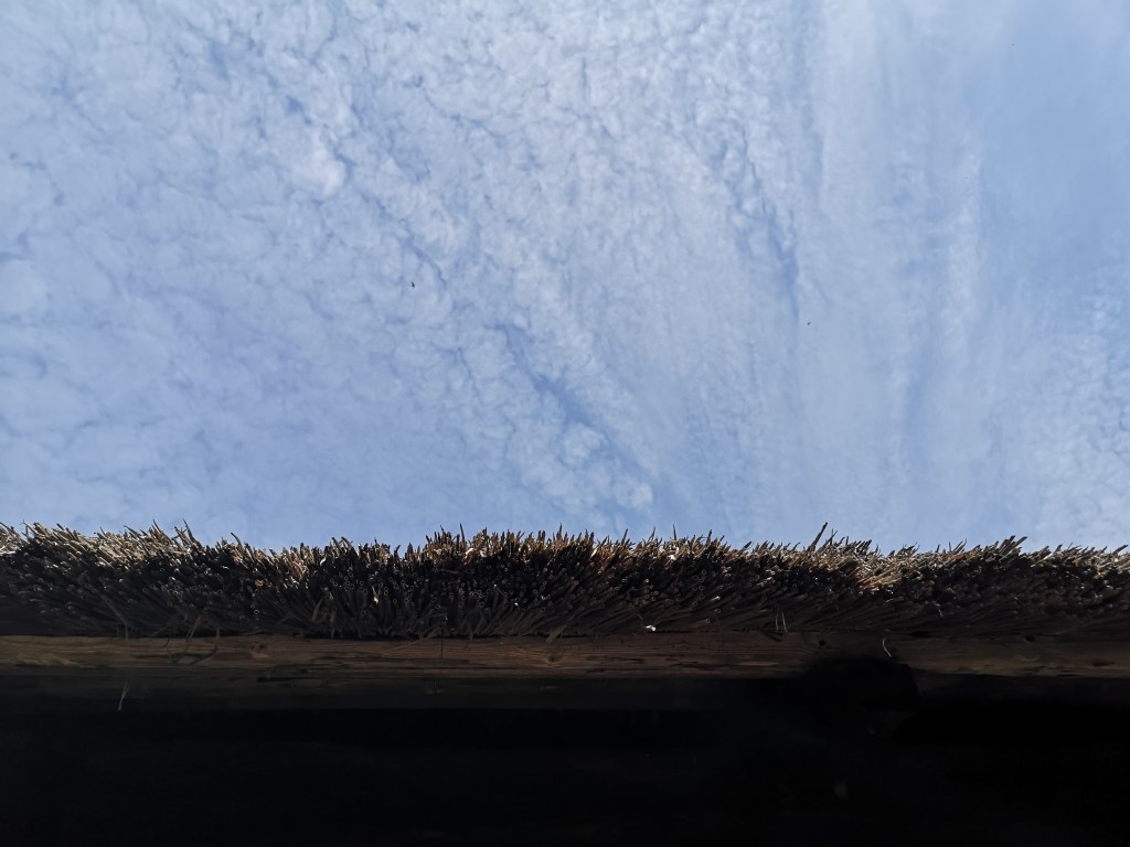 Byggnadsvård på Hallandsgården